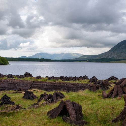 1100-turba-nedir-viski-icin-neden-cok 1100-turba-nedir-viski-icin-neden-cok