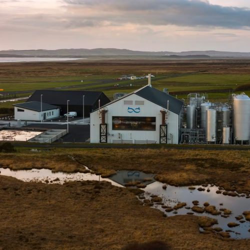 LagganBayfromsidewithcoastbehind_PamelaStewart