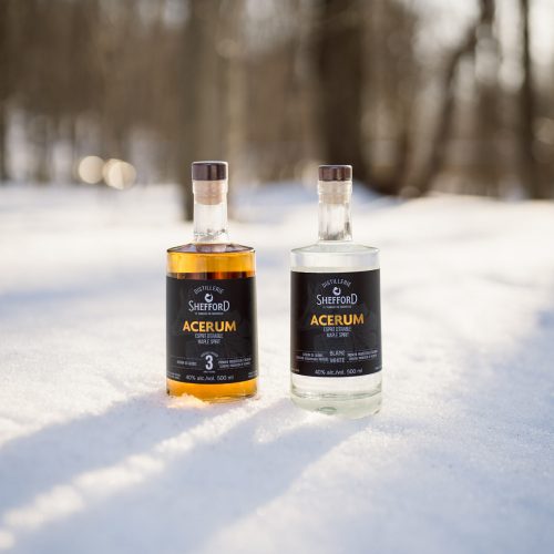 PPAQ_250314-77-scaled