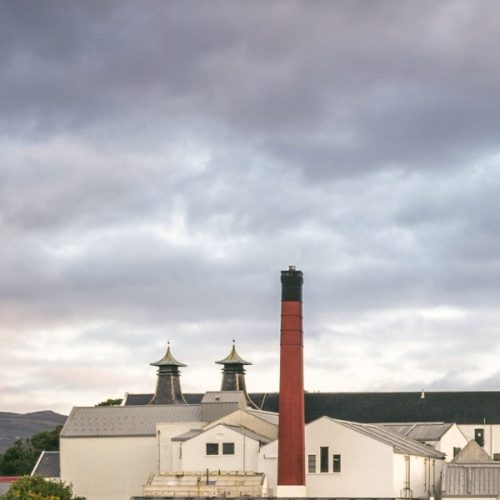 damitimevi damitimevi